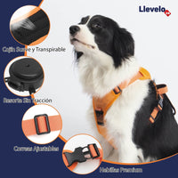 ARNÉS PARA PERROS