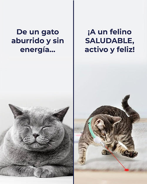CATLIGHT® - Evita que tu gato enferme de estrés