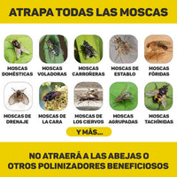 MATAMOSCAS (MOSQUITOX)