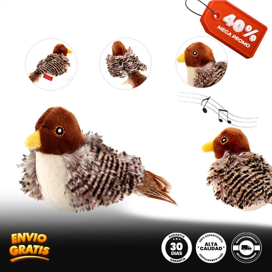 Plumitas Cantares® pájaro simulador para gato