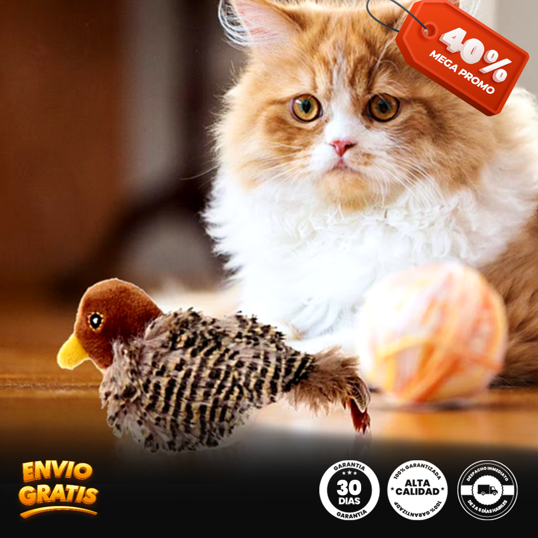 Plumitas Cantares® pájaro simulador para gato