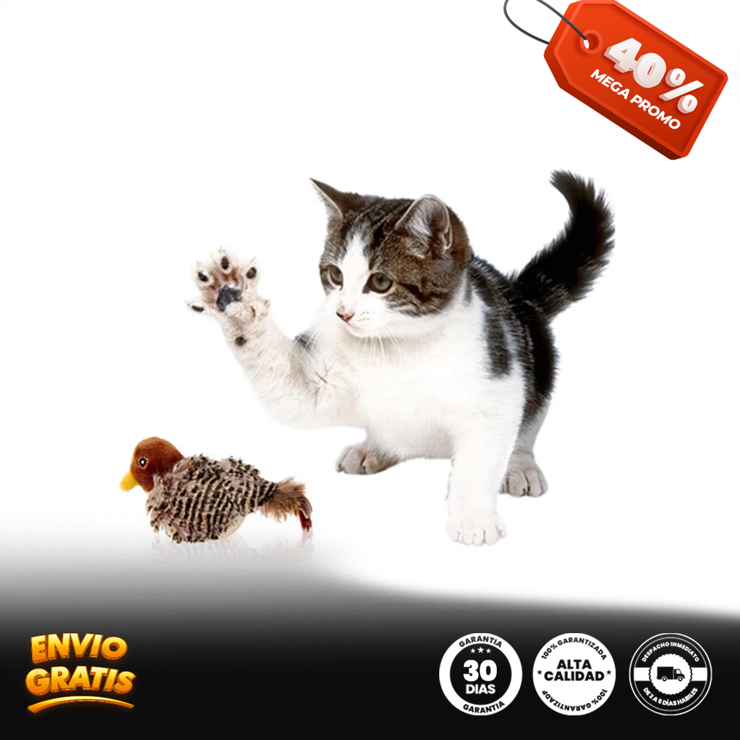 Plumitas Cantares® pájaro simulador para gato