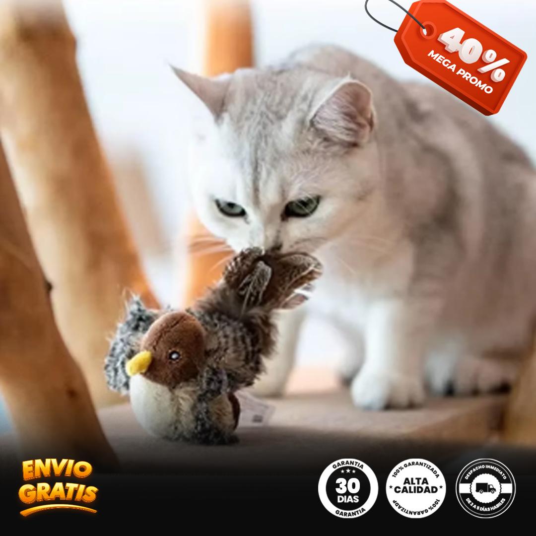 Plumitas Cantares® pájaro simulador para gato
