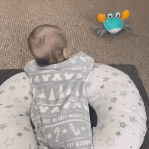 Cangrejo Musical de Estimulación para Niños