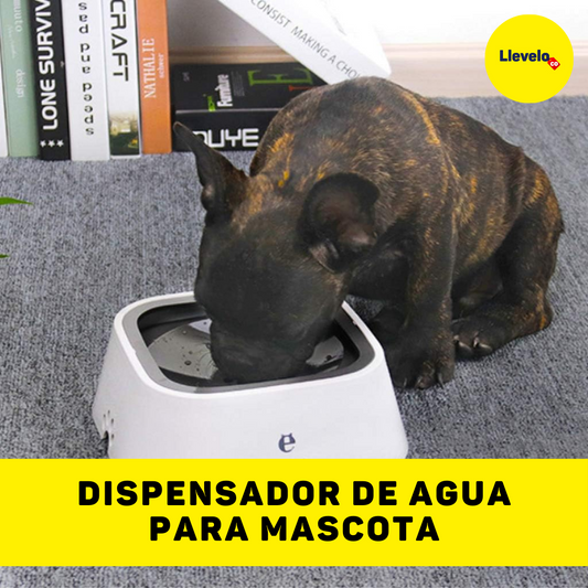 DISPENSADOR DE AGUA PARA MASCOTA