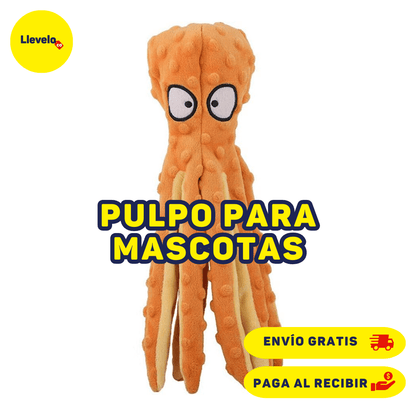 PULPO PARA MASCOTAS