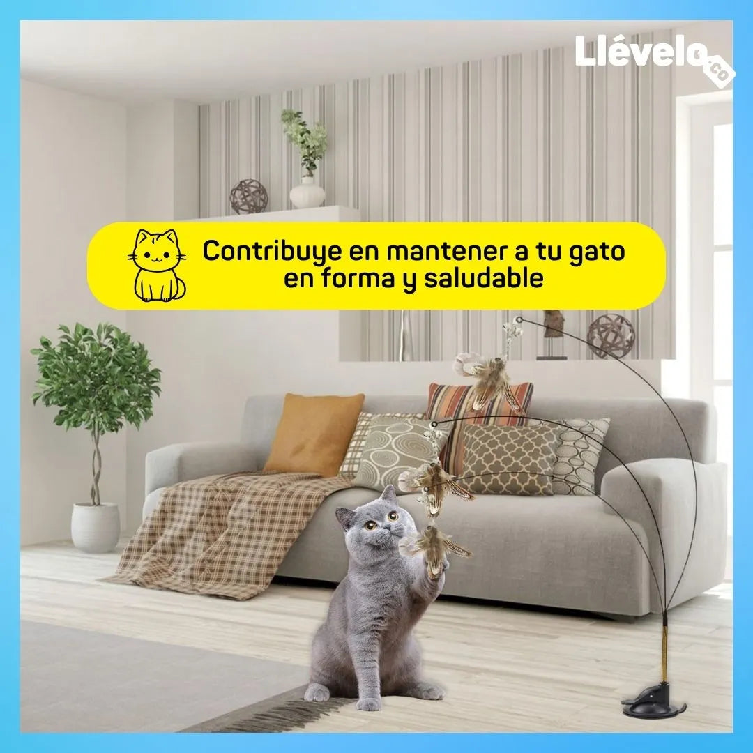 ¡SUPER PROMO! Compra 1 Pawplay® y lleva GRATIS 1 PetGroom Pro®