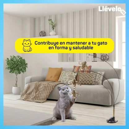 ¡SUPER PROMO! Compra 1 Pawplay® y lleva GRATIS 1 PetGroom Pro®