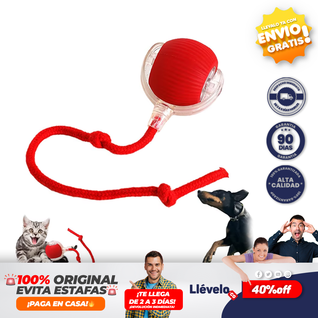 CazaPlay®  Juguete interactivo para mascotas