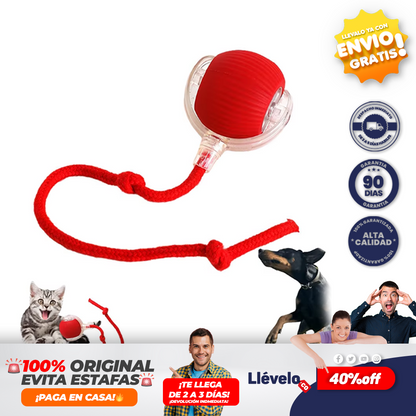 CazaPlay®  Juguete interactivo para mascotas