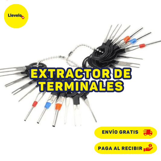 EXTRACTOR DE TERMINALES