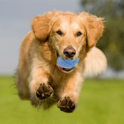 PELOTA AUTOMATICA