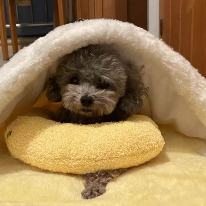 ALMOHADA ANTIESTRÉS PARA PELUDITOS