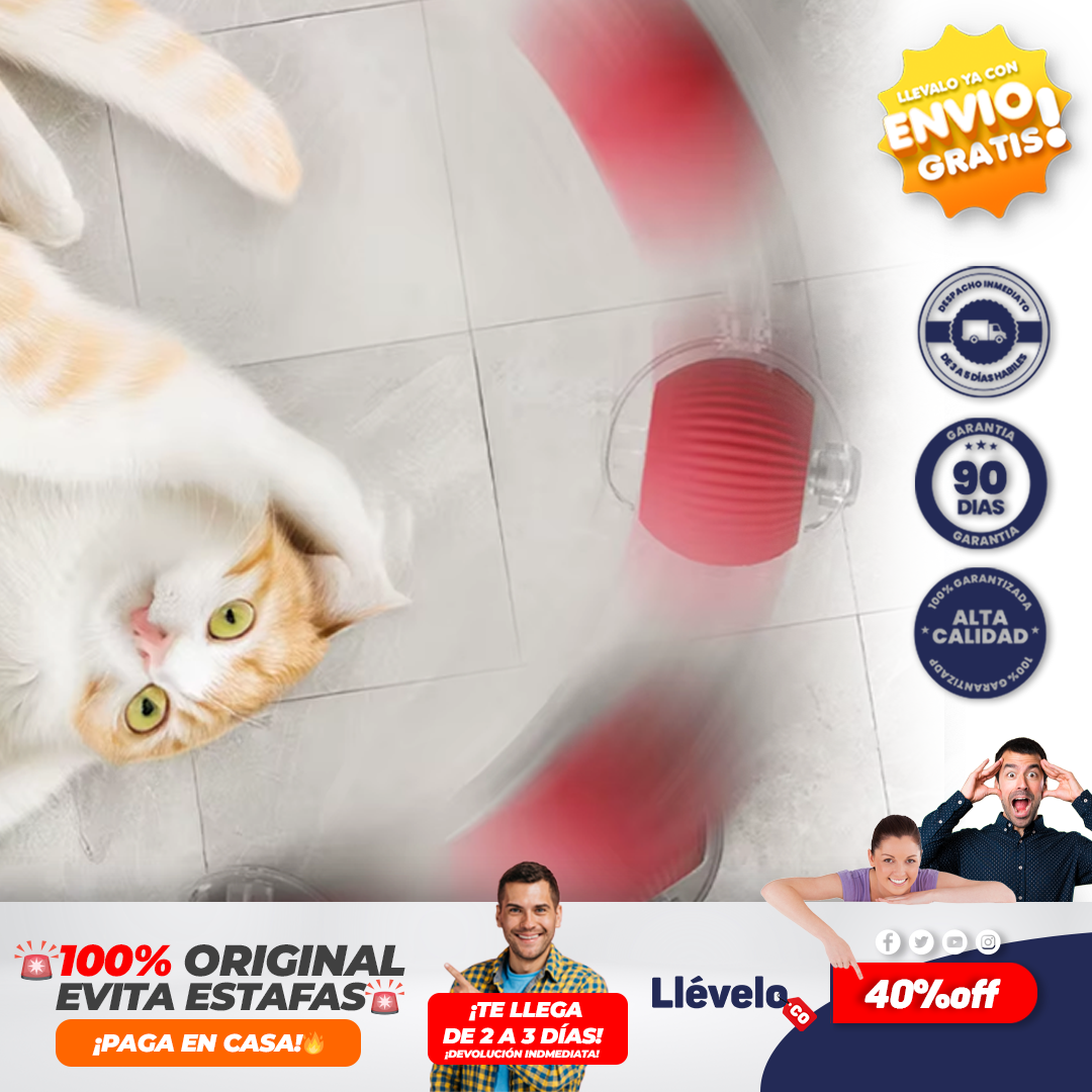 CazaPlay®  Juguete interactivo para mascotas