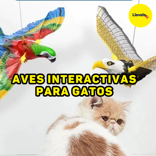 AVES INTERACTIVAS PARA GATOS