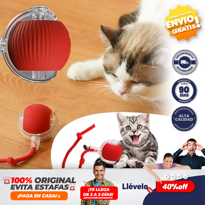 CazaPlay®  Juguete interactivo para mascotas