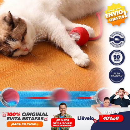 CazaPlay®  Juguete interactivo para mascotas