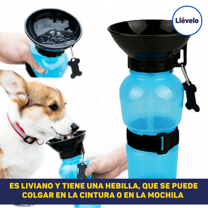 TERMO DE AGUA PARA PERRO