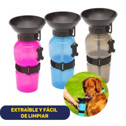 TERMO DE AGUA PARA PERRO