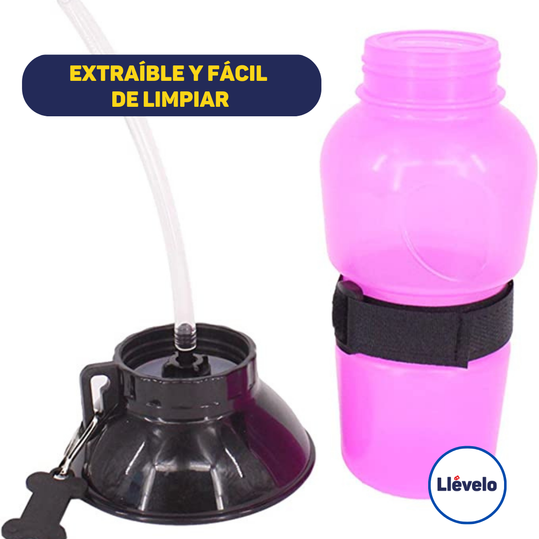 TERMO DE AGUA PARA PERRO